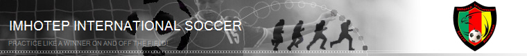 Georgia Soccer banner